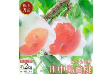 【モモ】川中島白桃　約2kg 6～8個入【2025年7月末頃から順次発送】【秀品】こだわり