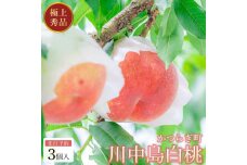 【秀品】川中島白桃 食べきりやすい3個入り 【2025年7月末頃から順次発送】こだわり 農家厳選 