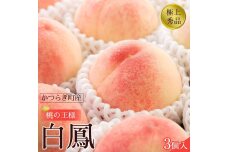 【モモ】 白鳳　桃の王様！食べきりやすい３個入り【2025年6月下旬頃より順次発送】【秀品】こだわり