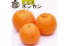 ＜1月より発送＞厳選 ポンカン2.5kg+75g（傷み補償分）【光センサー選別】【IKE20】