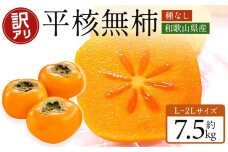 和歌山県産訳あり平核無柿7.5kg L ~ 2L サイズご家庭用選果場直送2024年10月上旬～発送