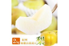 梨 約2kg 化粧箱入 紀州和歌山 かつらぎ産【2025年8月下旬以降発送予定】【UT103】