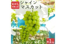 シャインマスカット 約1kg　紀州和歌山 かつらぎ産【2025年8月下旬以降発送予定】【UT118】