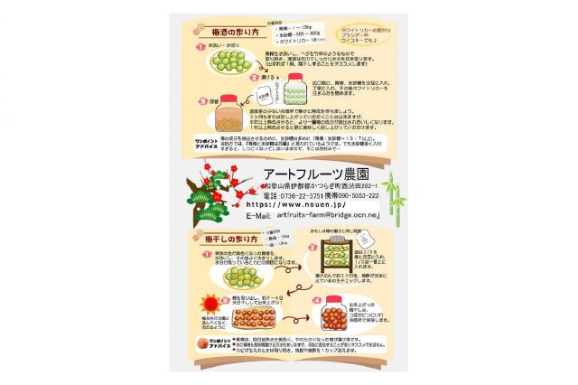 ふるさと納税 「【梅干・梅酒用】大玉4Lサイズ約10kg熟南高 生梅 ふるさと納税 「【梅干・梅酒用】大玉4Lサイズ約10kg熟南高 生梅