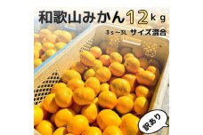 【訳あり】和歌山みかん約11kg+補償分約1kg サイズ混合 11月より順次発送 訳ありみかん