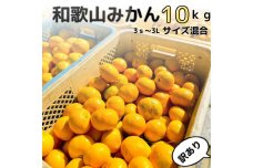 【訳あり】和歌山みかん 約9.5kg+補償分約500g サイズ混合 11月より順次発送 訳ありみかん