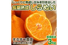 長期熟成しらぬい 約3kg 濃厚なコクと甘さ 農家直送 和歌山県産 【2025年5月中旬頃順次発送】