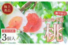 桃 極上秀品 食べきりやすい3個入【先行予約】【2025年7月末から8月末順次発送】こだわり農家厳選