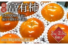 【限定】 富有柿 2kg～2.5kg 6個入 至高の逸品 約1000個に１個！【先行予約】【KG5】