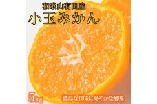 有田の小粒みかん約5kg (S～3Sサイズ混合)【2025年11月下旬以降発送】【UT134】