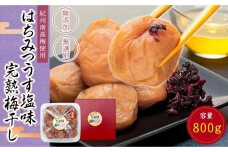 紀州南高梅使用 はちみつ うす塩味 完熟梅干し 無選別 約800g [TM198]