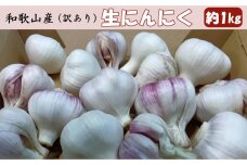 和歌山県産 生にんにく 約1kg ご家庭用  ★2027年4月下旬より順次発送［TM202］