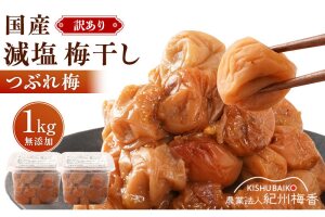 無農薬栽培 無添加減塩 梅干し 訳アリつぶれ梅 約1kg(500gパック×2個) 塩分3% N3-G