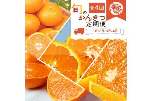 【定期便・指定月（1・2・3・4月）全4回】紀州和歌山産 旬の柑橘 セット 