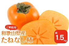 【2025年9月下旬以降発送】 和歌山県産 平核無柿 ご家庭用 約1.5kg 満杯詰  柿 種無し