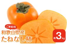 【2025年9月下旬以降発送】 和歌山県産 平核無柿 ご家庭用 約3kg 満杯詰  柿 種無し