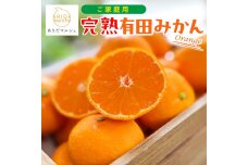 ご家庭用 完熟有田みかん 約5kg［2025年11月発送予定］訳あり 農家直送［MS31-1］