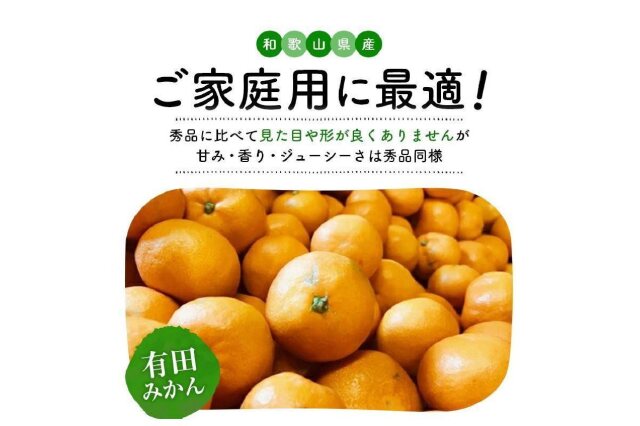 有田みかん農家直送ご家庭用 ふるさと納税 「ご家庭用 完熟有田みかん 約5kg［2025年12月発送