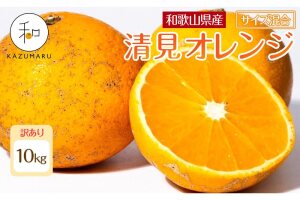 訳あり 森本農園の手選別 清見オレンジ 約10kg 和歌山県産 サイズ混合 ［RN49］