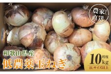［2026年発送分・先行予約］農家さん直送 低農薬玉ねぎ 2Lサイズ以上 10kg程度