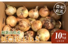 ［2026年発送分・先行予約］農家さん直送 低農薬玉ねぎ Lサイズ 10kg程度