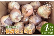 ［2026年発送分・先行予約］訳あり 農家さん直送 低農薬玉ねぎ 4kg程度 S～2L混合
