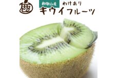 ［先行予約］家庭用 キウイ5kg+250g（傷み補償分） わけあり・訳あり・扁平果 