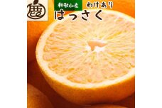 ［先行予約］家庭用 はっさく2.5kg+250g（傷み補償分） 八朔みかん  訳あり わけあり 