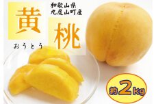 和歌山の黄桃(黄貴妃) 約2kg 【濃厚】 先行予約【9月上旬～中旬発送】