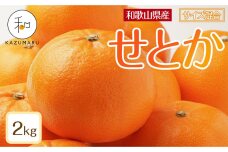 森本農園の手選別 せとか 約2kg 和歌山県産 サイズ混合 
