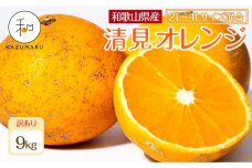 訳あり 森本農園の手選別 大玉清見オレンジ 約9kg 和歌山県産 2L~4Lサイズ混合 