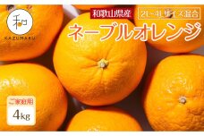 家庭用 森本農園の手選別 大玉ネーブルオレンジ 約4kg 和歌山県産 2L~4Lサイズ混合 