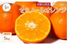 贈答用 森本農園の手選別 厳選セミノールオレンジ 約5kg 和歌山県産 サイズ混合 