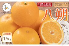 家庭用 森本農園の手選別 八朔 約1.5kg 和歌山県産 サイズ混合 