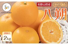訳あり 森本農園の手選別 八朔 約2kg 和歌山県産 サイズ混合 