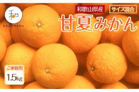 ふるさと納税 和歌山市 ＜4月より発送＞家庭用 甘夏柑9kg+270g(傷み補償分)