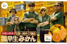 訳あり 森本農園の手選別 極早生小粒みかん 約8kg 和歌山県産 2S・3Sサイズ混合 