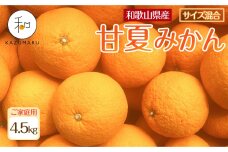 家庭用 森本農園の手選別 甘夏みかん 約4.5kg 和歌山県産 サイズ混合 