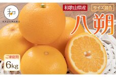家庭用 森本農園の手選別 八朔 約6kg 和歌山県産 サイズ混合 