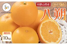 贈答用 森本農園の手選別 八朔 約10kg 和歌山県産 サイズ混合 