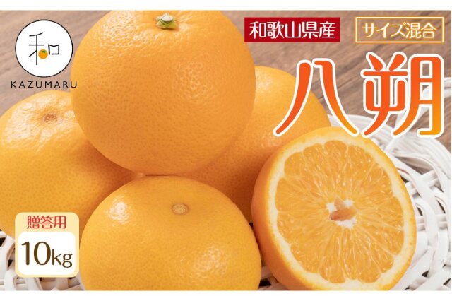 ふるさと納税 「贈答用 森本農園の手選別 八朔 約10kg 和歌山県産