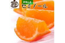 ［先行予約］厳選 セミノールオレンジ2.5kg+250g（傷み補償分）［春みかん］［有田産］