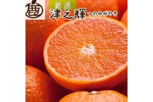 ［先行予約］厳選 津之輝5kg+250g（傷み補償分）［つのかがやき］［せとかに似た柑橘］