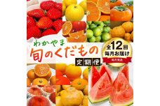 わかやま旬のくだもの定期便 全12回【Ｓ】【毎月発送】※北海道・沖縄・離島への配送不可