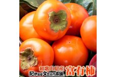 和歌山の富有柿 約7.5kg（秀品：サイズおまかせ）／紀伊国屋文左衛門本舗