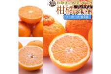 厳選 柑橘定期便M（1～3月）全3回 ［IKE295］
