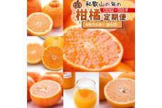 家庭用 柑橘定期便S（奇数月）全6回 ［IKE301］