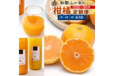 家庭用 柑橘定期便S（7～9月）全3回 ［IKE305］