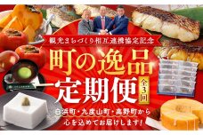 観光まちづくり相互連携協定記念 町の逸品定期便  白浜町・九度山町・高野町から心を込めてお届けします