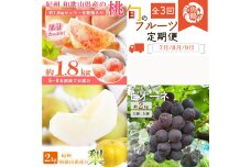 ［全3回 定期便］ 紀州和歌山産旬のフルーツセット（桃・梨・ピオーネ） ［UT142］